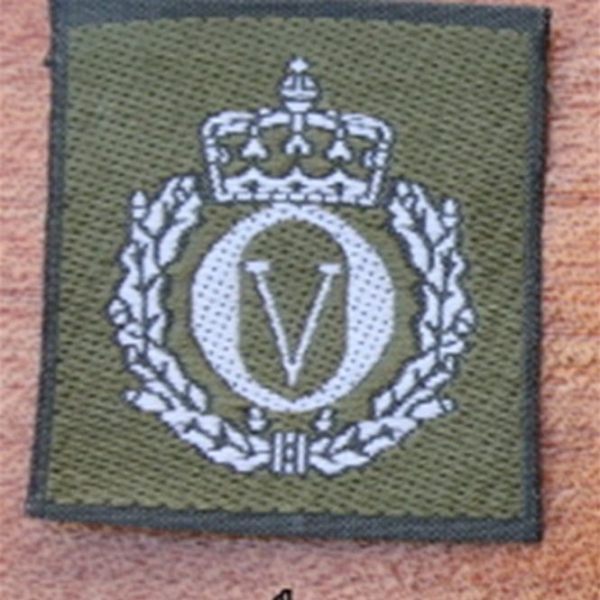 Hovedbilde LUEMERKE/OV